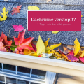 3 TIPPS GEGEN VERSTOPFTE DACH-RINNEN